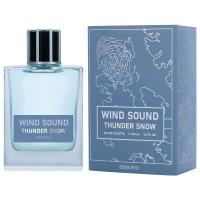 Brocard - Туалетная вода мужская Wind Sound Thunder Snow 100мл