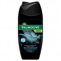 Palmolive - Men Гель для душа с ментолом и магнием Расслабление мышц 250мл