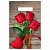 ТикоПластик - Пакет подарочный с вырубной неусиленной ручкой 20х30 Свежие розы