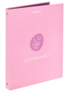 BRAUBERG - Папка-портфолио универсальная 4 кольца 20 файлов 7БЦ матовая Gentle