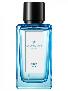Parfums Constantine - GalvanoLiori Туалетная вода мужская Signature Aqua Sky 100мл