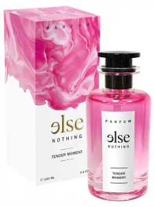 Art Parfum - Духи женские Else Nothing Tender Moment 100мл