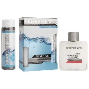 XXI CENTURY - Набор Perfect Silver Ice (Шампунь 250мл + Лосьон после бритья 100мл)