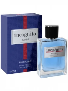 Art Parfum - Туалетная вода мужская Incognito Homme 100мл