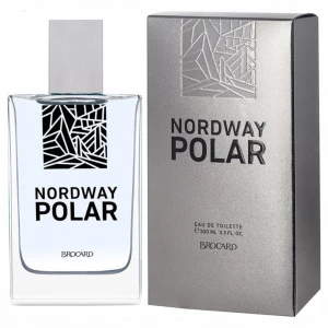 Brocard - Туалетная вода мужская Nordway Polar 100мл 