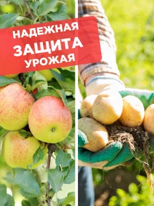 прочее изображение