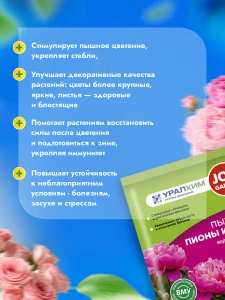 прочее изображение04