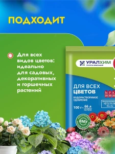 прочее изображение