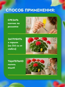 прочее изображение