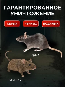 прочее изображение