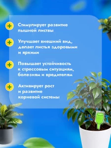 прочее изображение