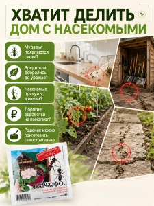 прочее изображение